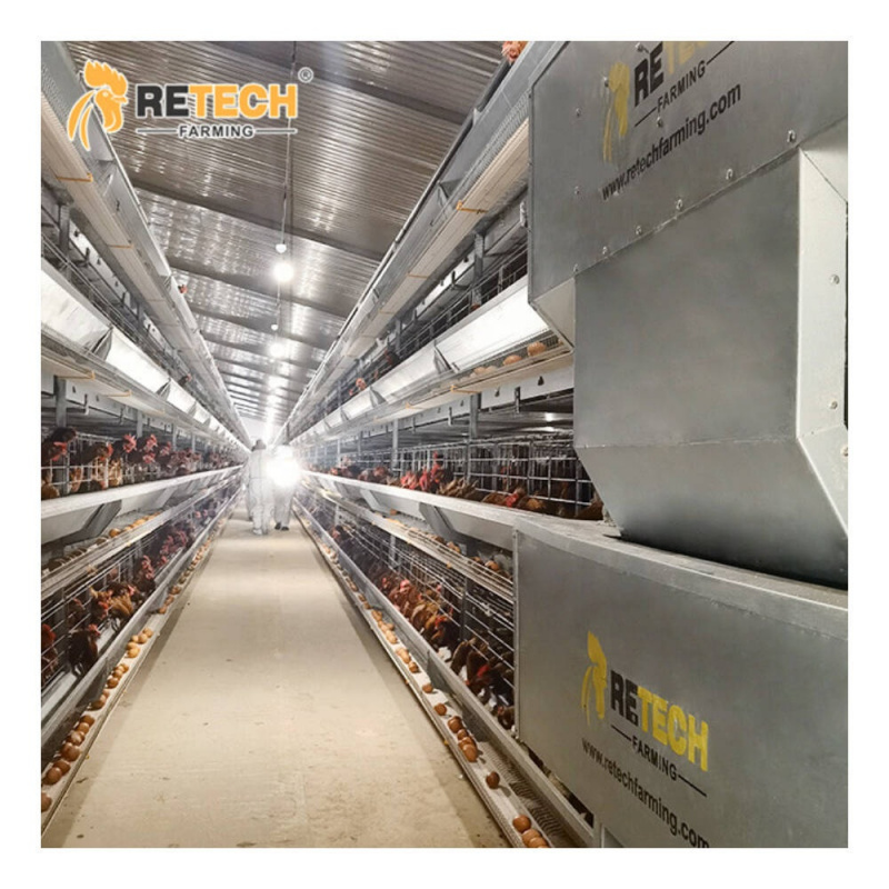 Farming Africa - Automatic H Type Layer Cage South