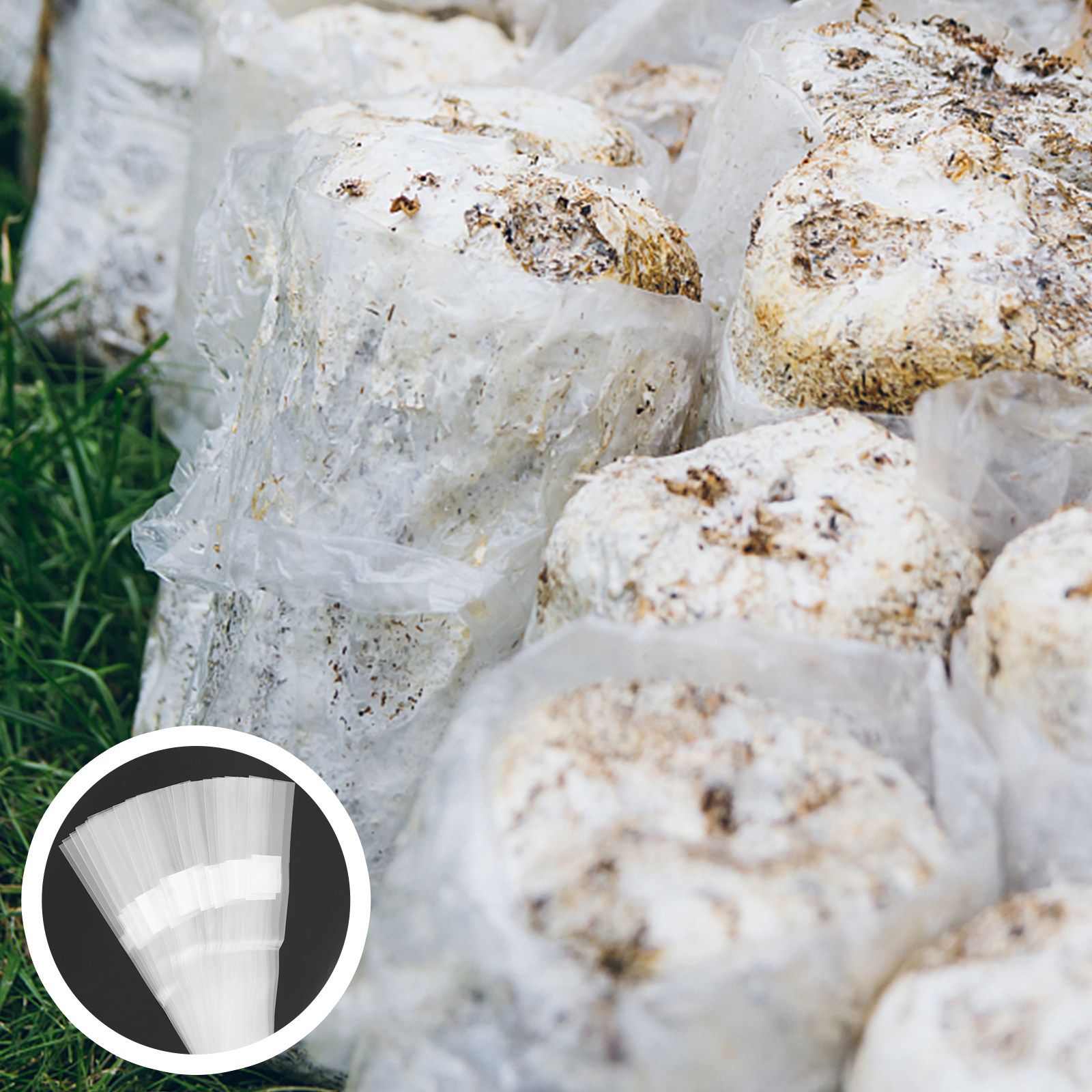 Mushroom Spawn Bag - 20Pcs Breathable Mushroom Spawn Bags High-Quality