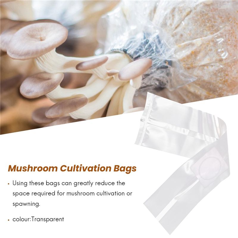AT84-100Pcs Mushroom Growing B - Mushroom Spawn Bag recensie en prijs