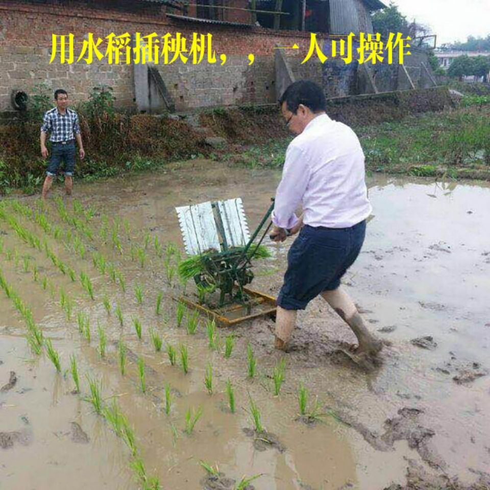 Rice transplanter Hand-cranked - Agriculture Farming Rice recensie en prijs