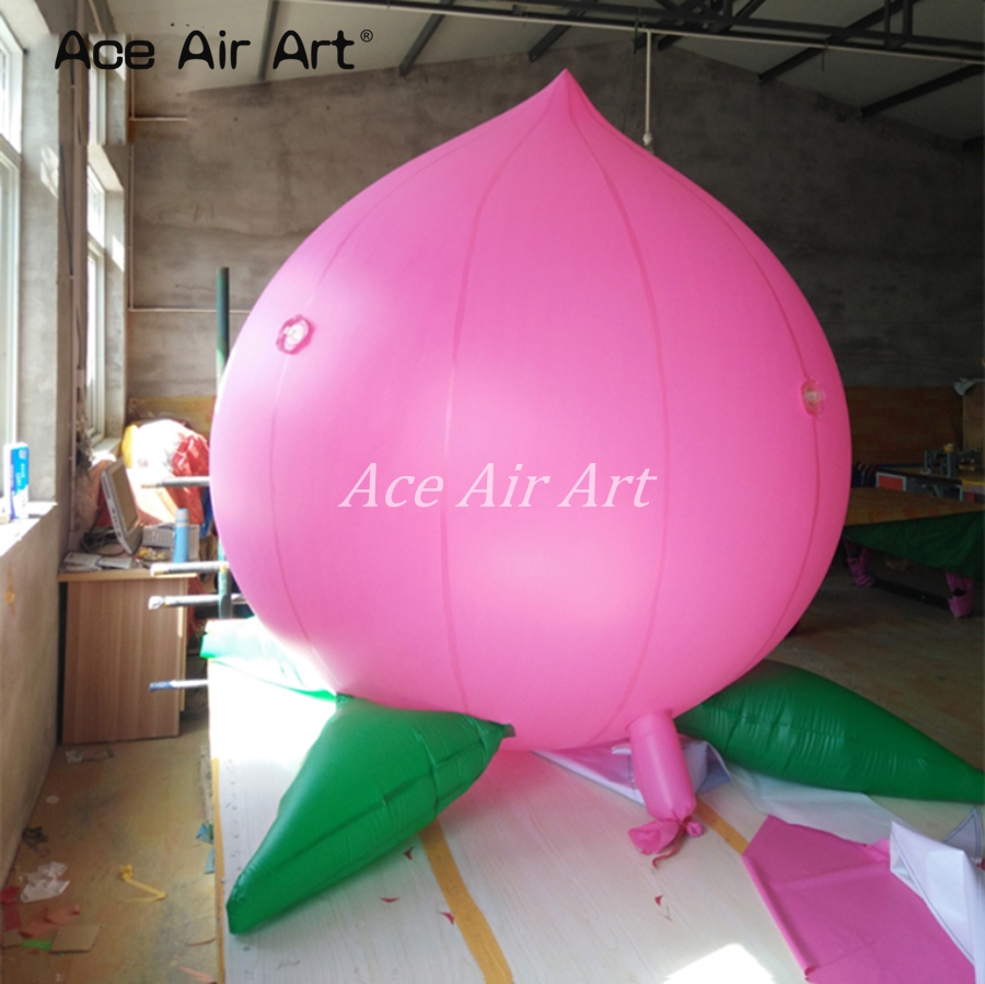 Advertising Giant Inflatable F - Agriculture Farming School recensie en prijs
