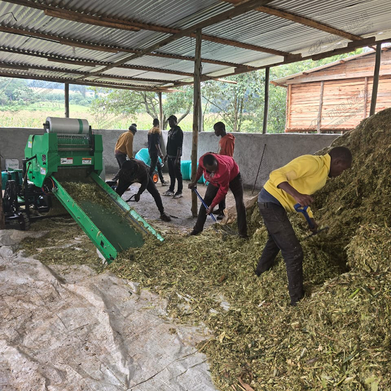 China Corn Silage Grass Harves - Silage Baler Machine recensie en prijs