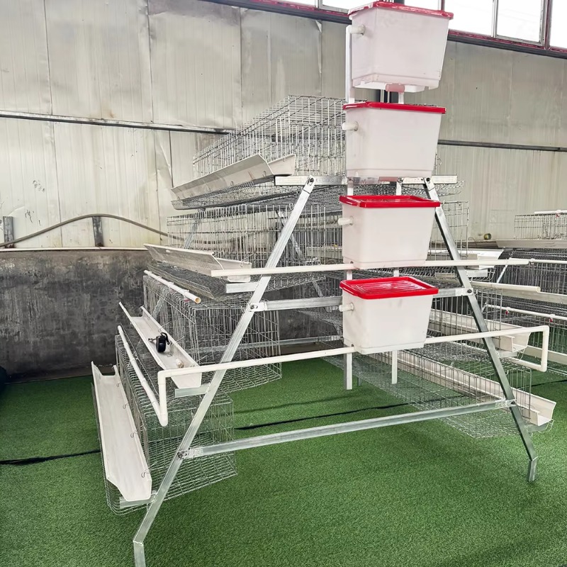 Cheap Price Poultry Farm 10000 - Farming Africa recensie en prijs