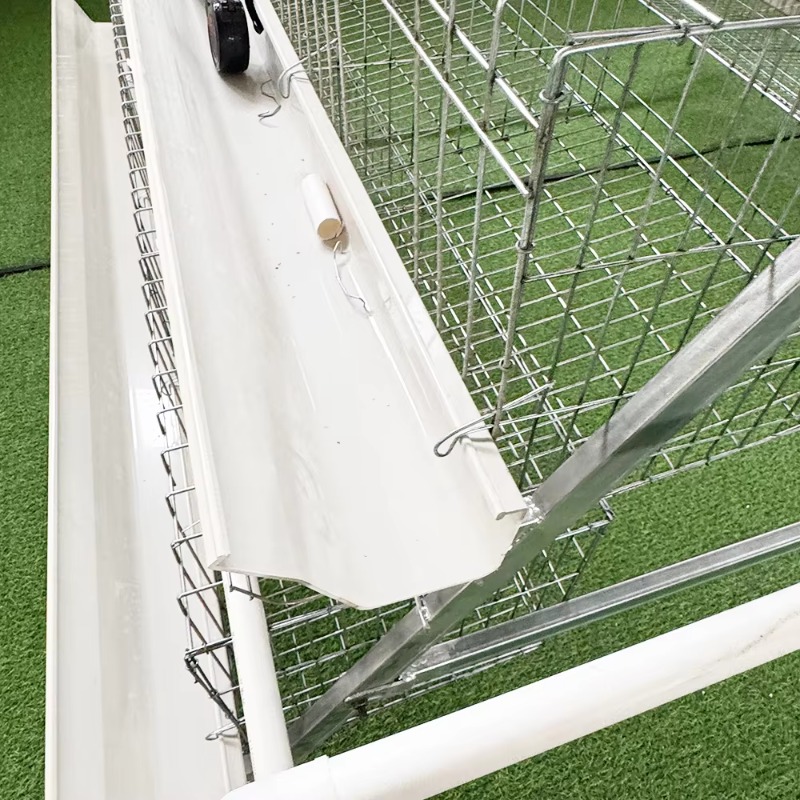 Cheap Price Poultry Farm 10000 - Farming Africa recensie en prijs