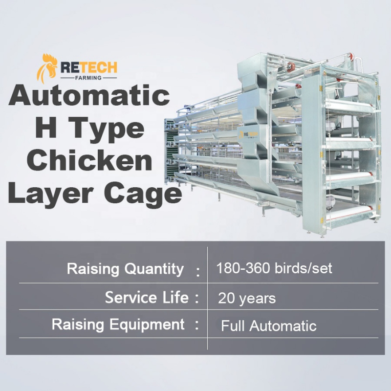 Automatic H Type Layer Cage So - Farming Africa recensie en prijs
