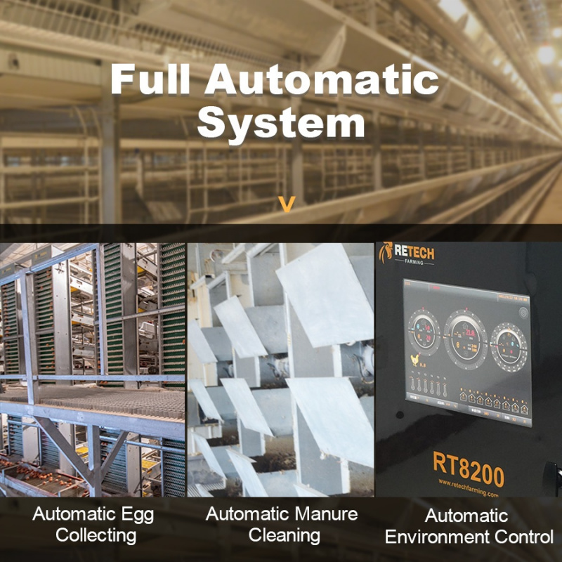 Automatic H Type Layer Cage So - Farming Africa recensie en prijs