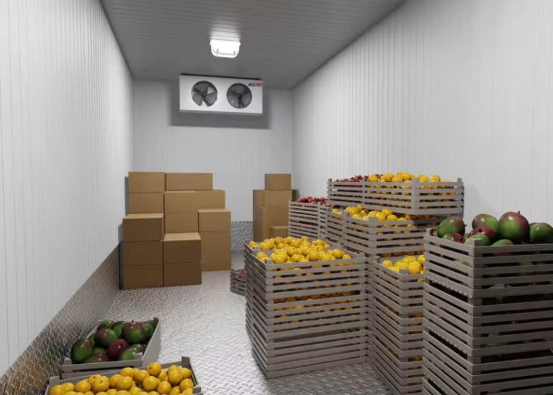Solar Walk in Cold Storage Roo - Farming Africa recensie en prijs