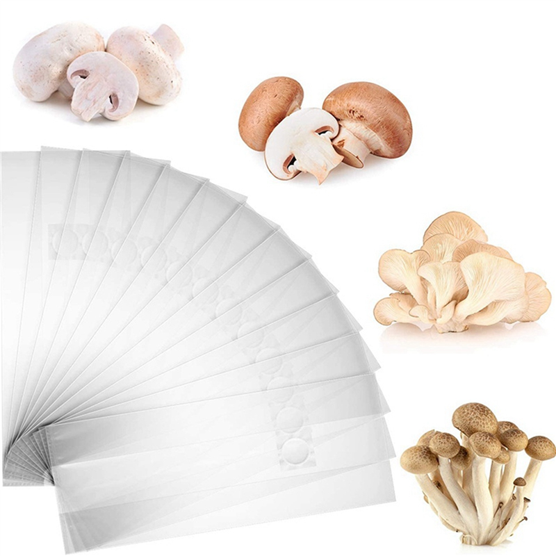 AA81-300Pcs Mushroom Growing B - Mushroom Spawn Bag recensie en prijs