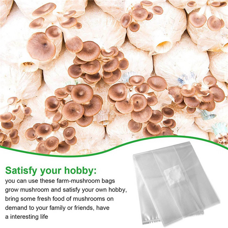 AA81-300Pcs Mushroom Growing B - Mushroom Spawn Bag recensie en prijs