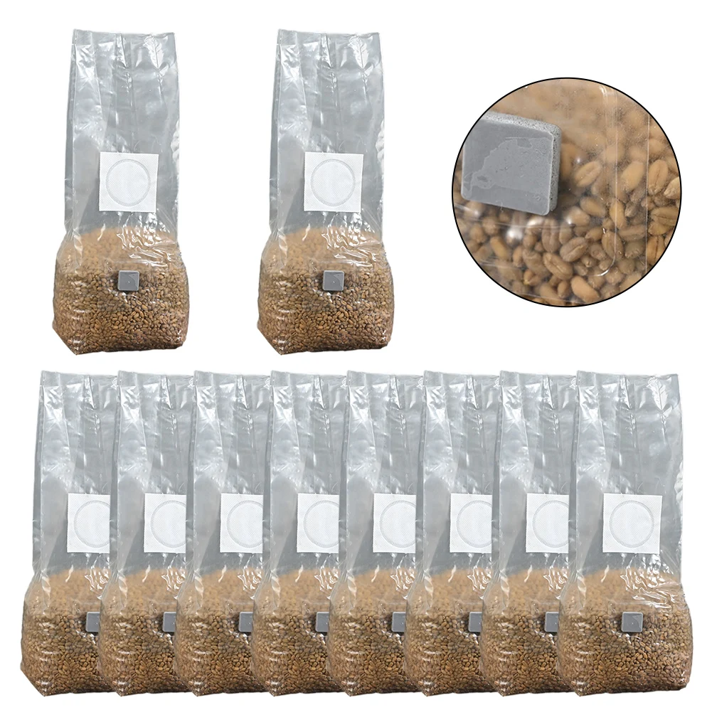 10pcs High-Yield Mushroom Cult - Mushroom Spawn Bag recensie en prijs