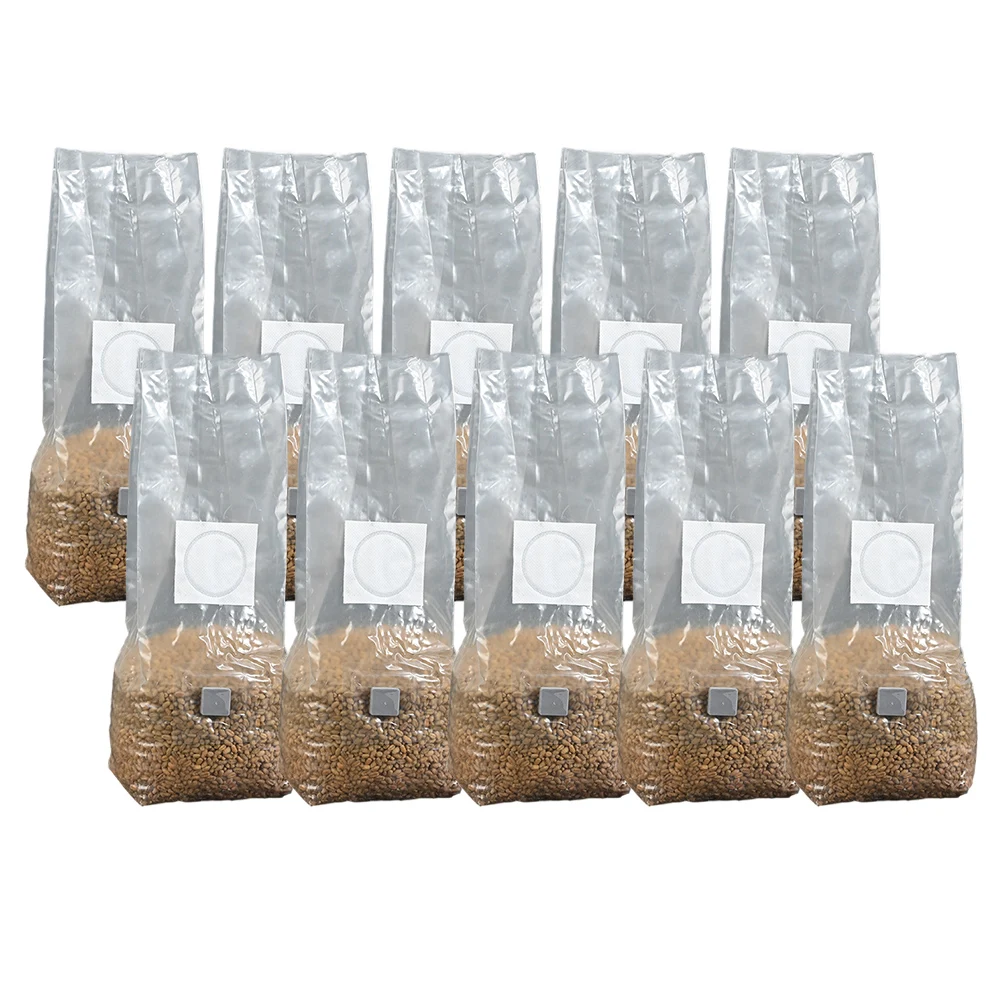 10pcs High-Yield Mushroom Cult - Mushroom Spawn Bag recensie en prijs