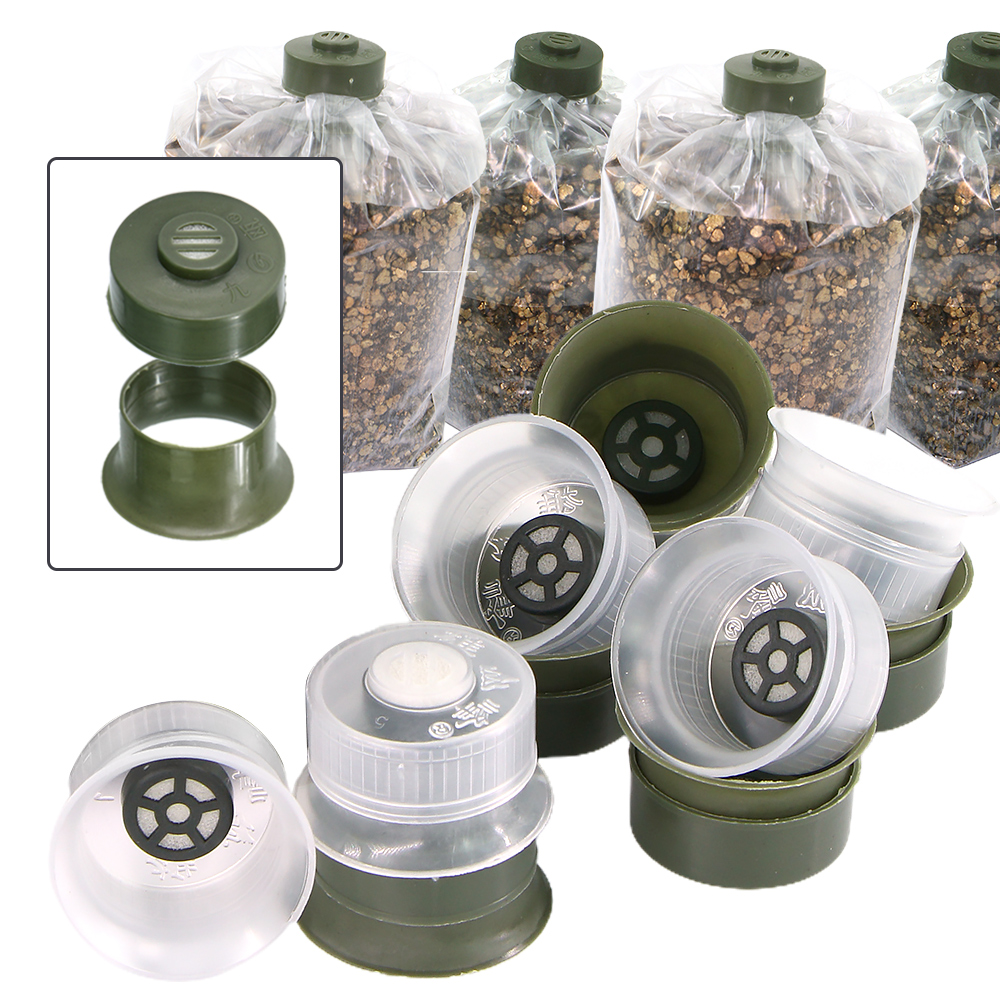 20/50pcs Mushroom Spawn Grow B - Mushroom Spawn Bag recensie en prijs