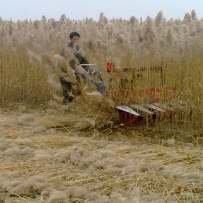 Farm Equipment Small Handy Agr - Agriculture Farming Rice recensie en prijs