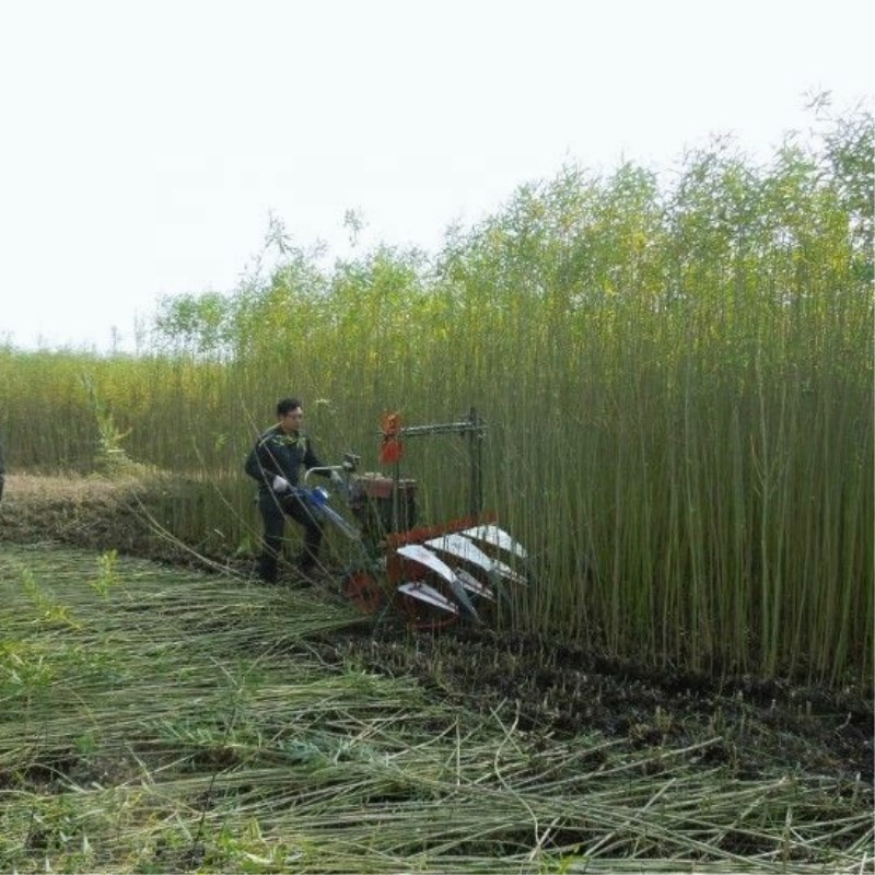 Farm Equipment Small Handy Agr - Agriculture Farming Rice recensie en prijs