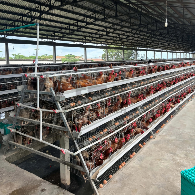 Machinery Sale In South Africa - Farming Africa recensie en prijs
