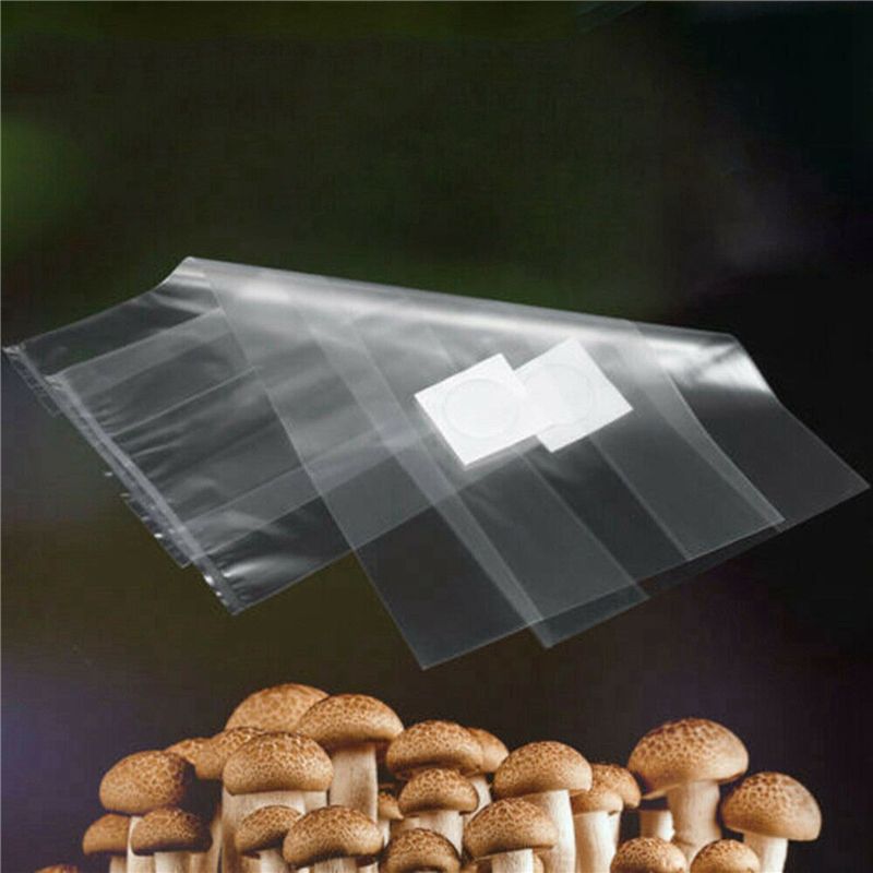 AT44-100Pcs PVC Mushroom Spawn - Mushroom Spawn Bag recensie en prijs