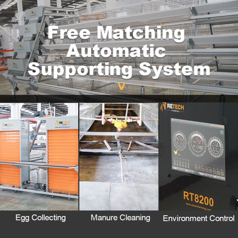 Automatic A Type Layer Chicken - Farming Africa recensie en prijs
