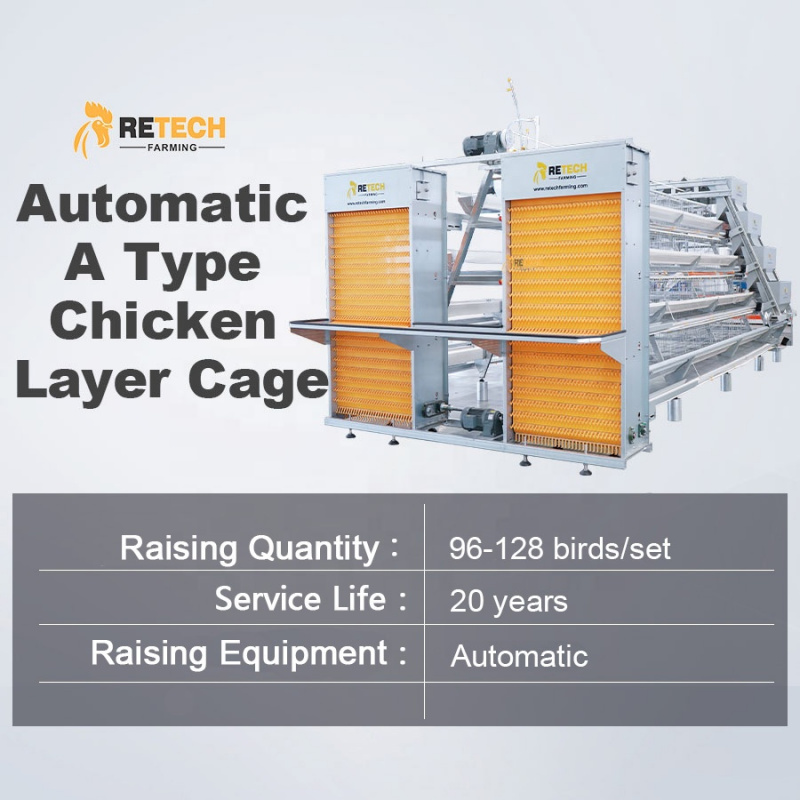 Automatic A Type Layer Chicken - Farming Africa recensie en prijs