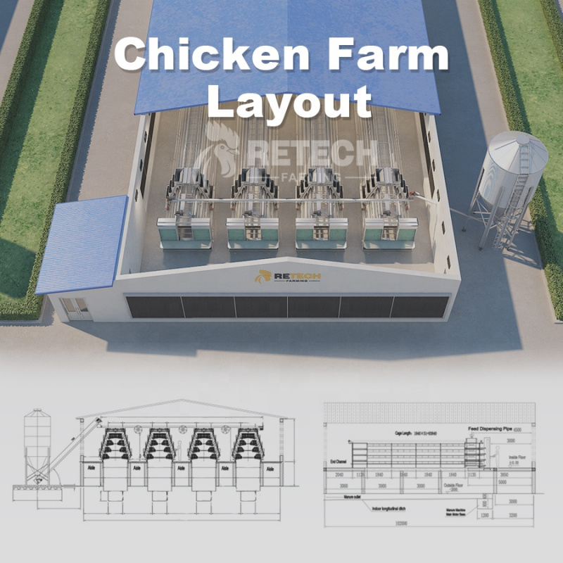 Automatic A Type Layer Chicken - Farming Africa recensie en prijs