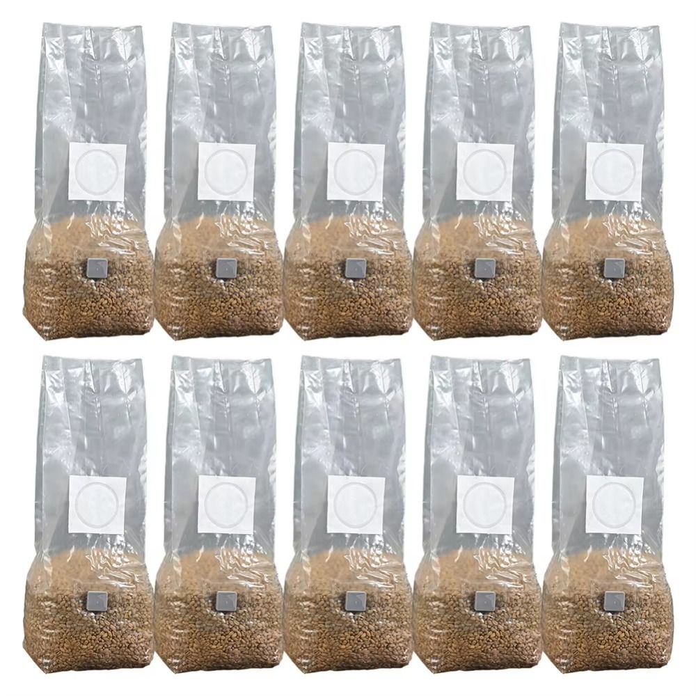 50pcs PP Mushroom Planting Bag - Mushroom Spawn Bag recensie en prijs