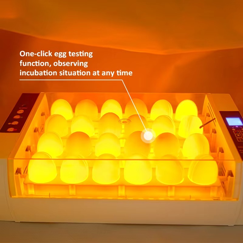 20S Mini Poultry  Candling Tes - Farming Africa recensie en prijs