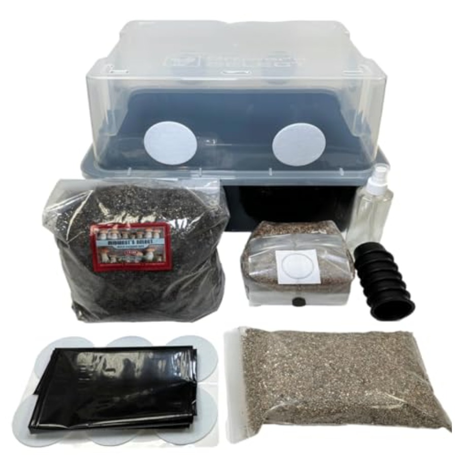 Mushroom Monotub Grow Kit for  - Mushroom Spawn Bag recensie en prijs