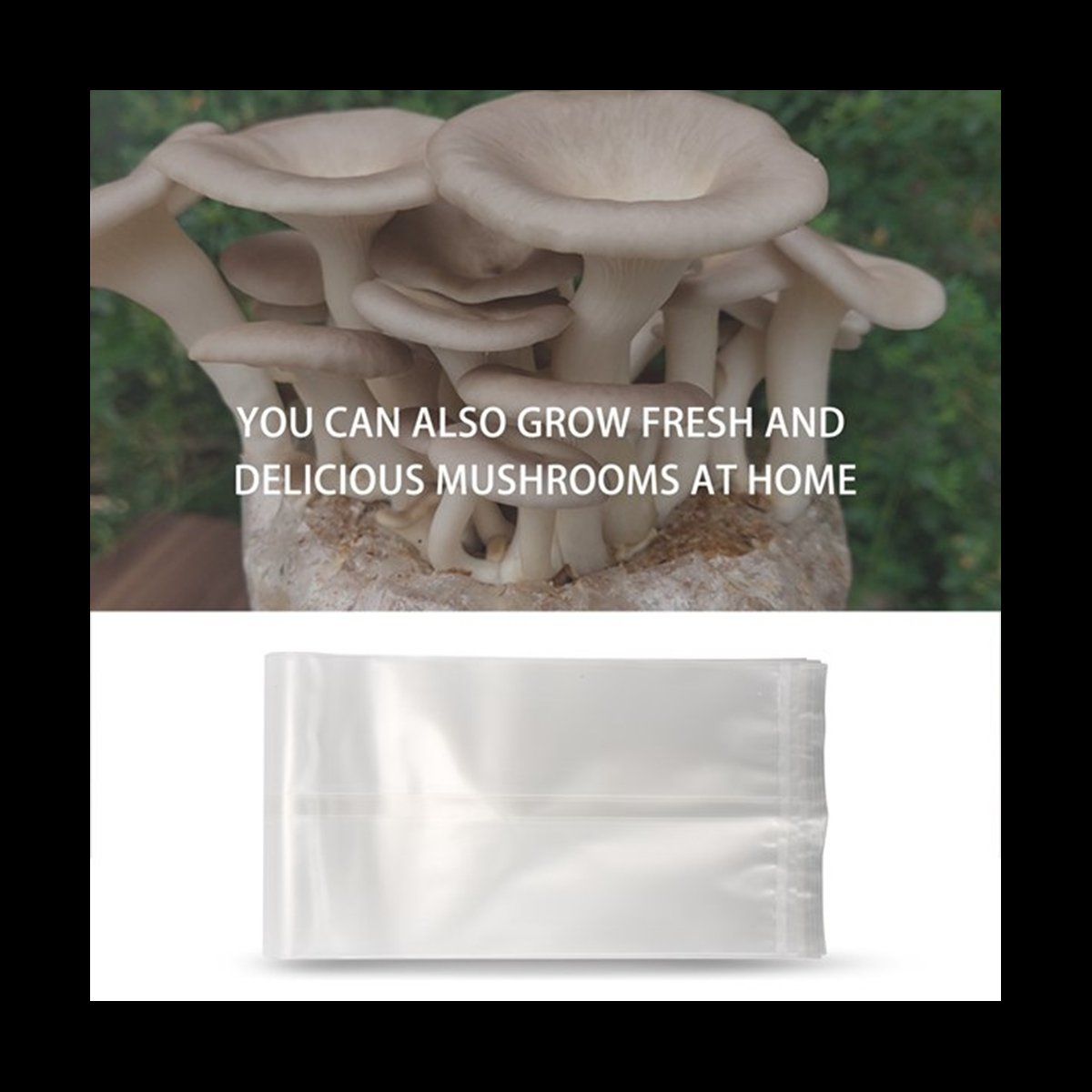 A78I 50 Count Mushroom Bags/Mu - Mushroom Spawn Bag recensie en prijs