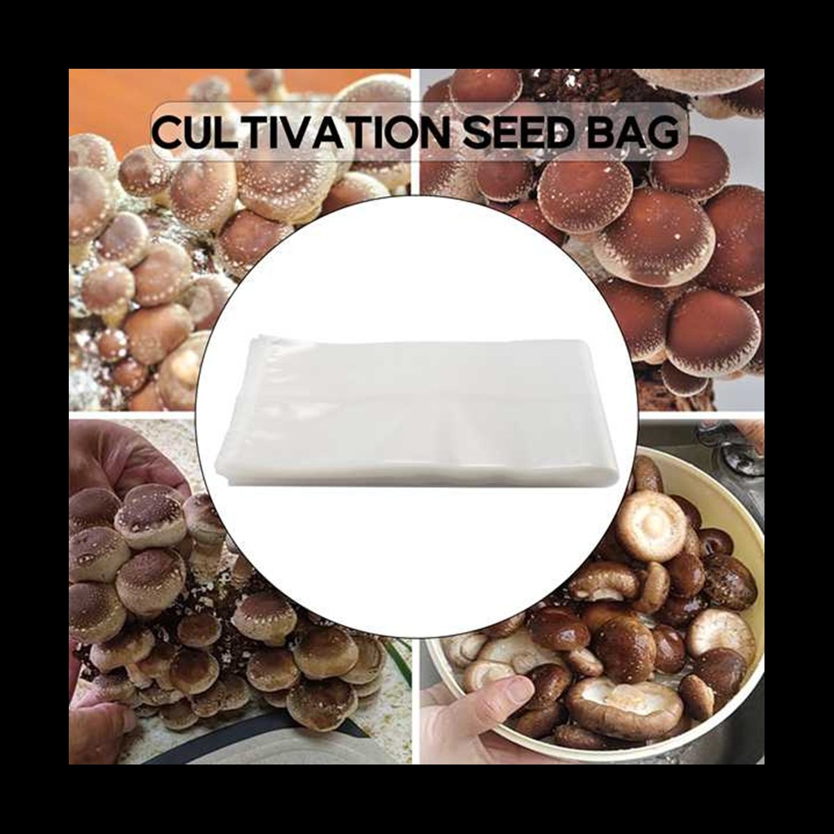 A78I 50 Count Mushroom Bags/Mu - Mushroom Spawn Bag recensie en prijs